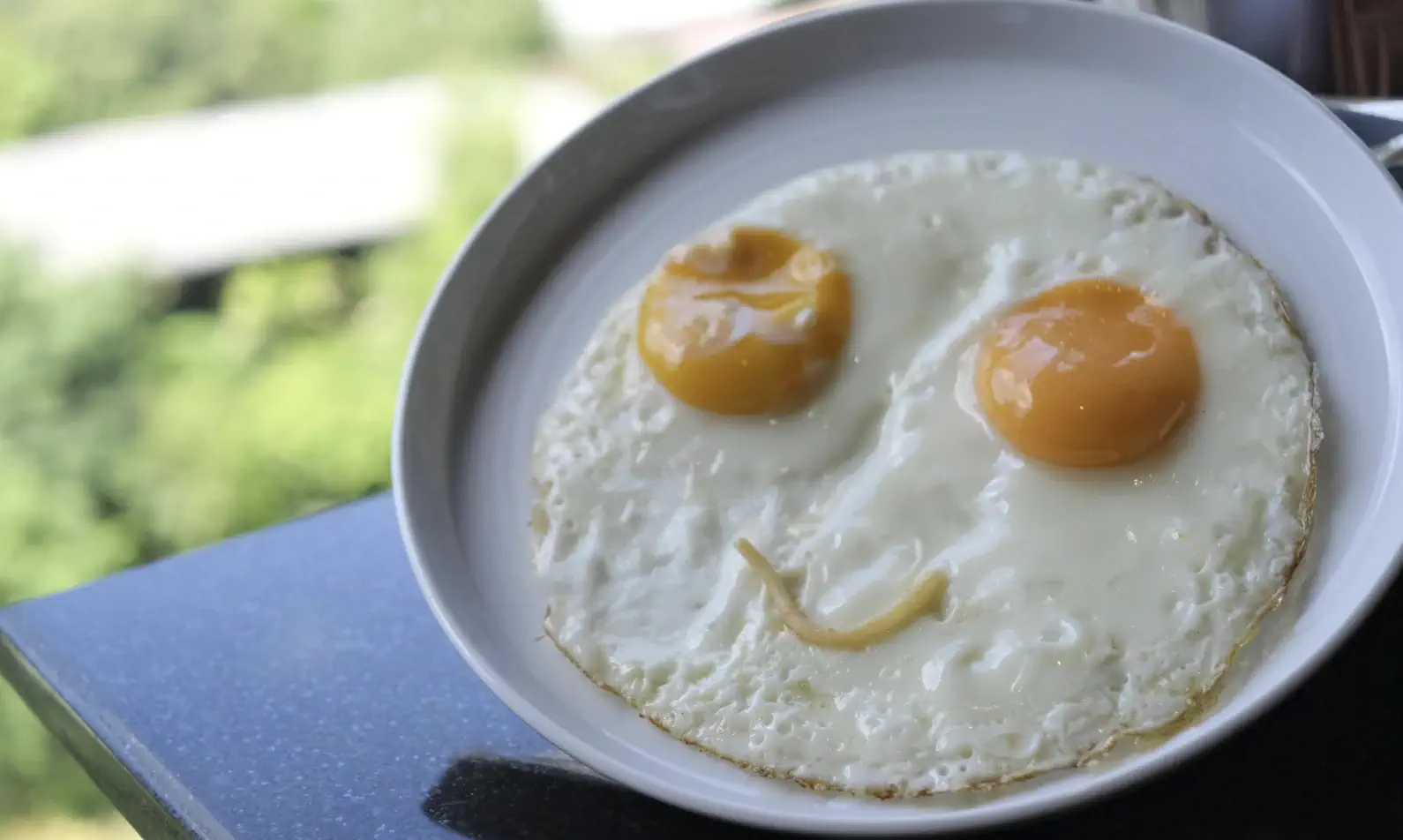 fried eggs